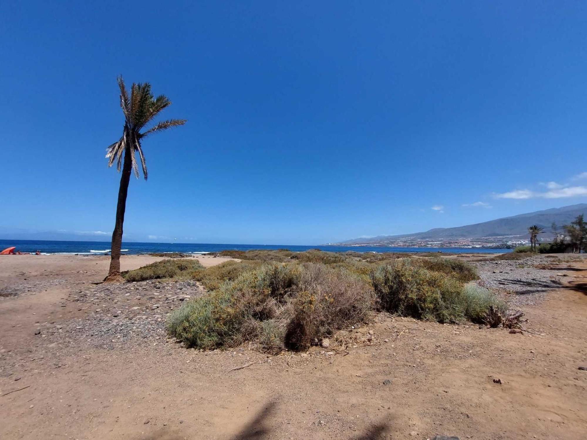 Apartamento De Un Dormitorio En Mareverde E14 Costa Adeje  Εξωτερικό φωτογραφία
